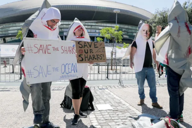 «التحول الأزرق» يواجه أنشطة الصيد غير المستدامة