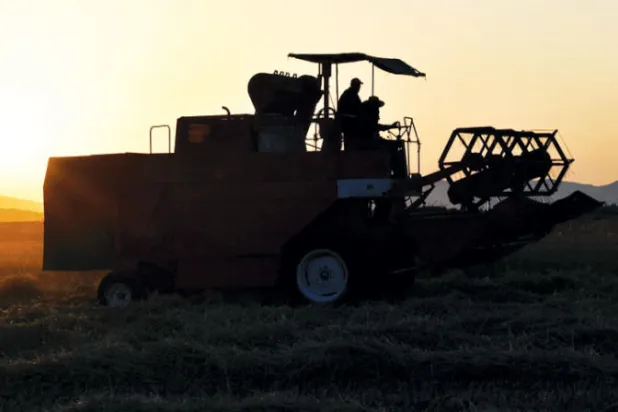 ارتفع معدل التضخم السنوي في تونس إلى 8.1% في يونيو  (أ. ف. ب)