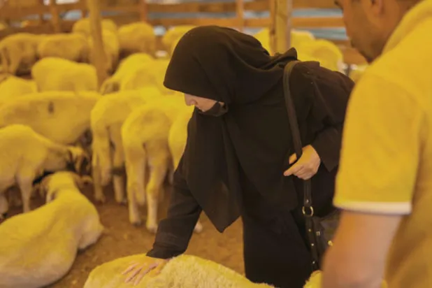 انعكست تداعيات الحرب الأوكرانية على أسعار اللحوم والسلع في الشرق الأوسط (أ.ب)