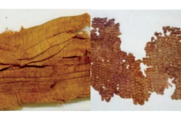 عينات من النسيج المصري القديم (متحف أونتاريو الملكي)