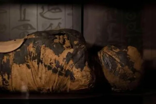 مومياء مصرية تحمل دليلاً لمرض روماتيزمي