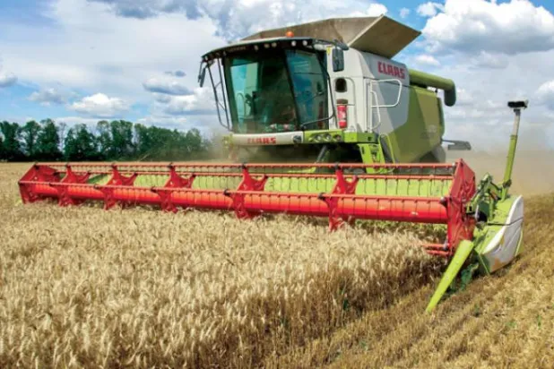 Ukrayna'nın Harkiv ilindeki buğday hasadından bir kare (EPA)