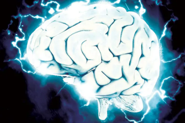 {المخطط البطني} في الدماغ تحدد منطقة الألم والربح (Public Domain)