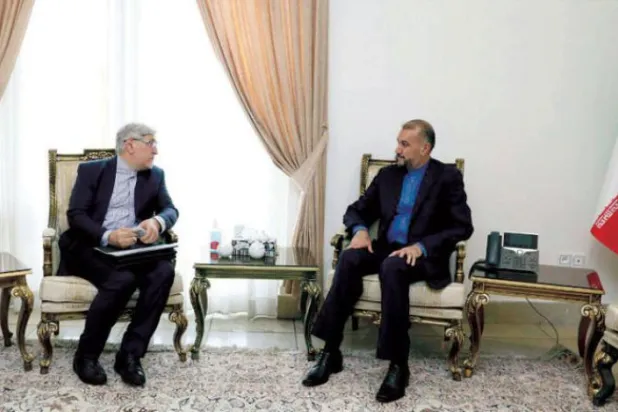 ایرانی وزارت خارجہ کی طرف سے کل ویانا میں بین الاقوامی تنظیموں کے لئے تہران کے نئے ایلچی عبد اللہیان اور محسن نذیری کی ملاقات کی ایک تصویر شائع کی گئی دیکھی جا سکتی ہے