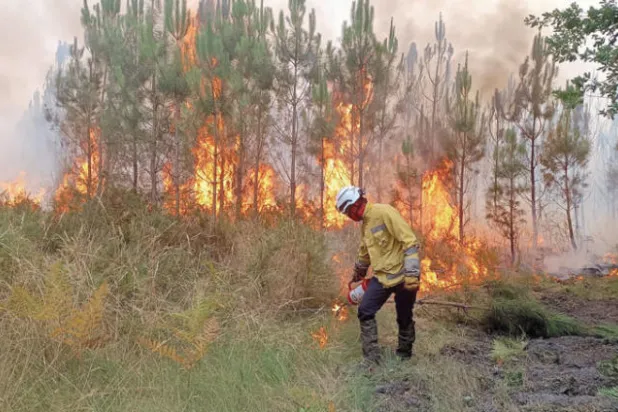 من حرائق الغابات في جنوب غربي فرنسا الأسبوع الماضي (إ.ب.أ)