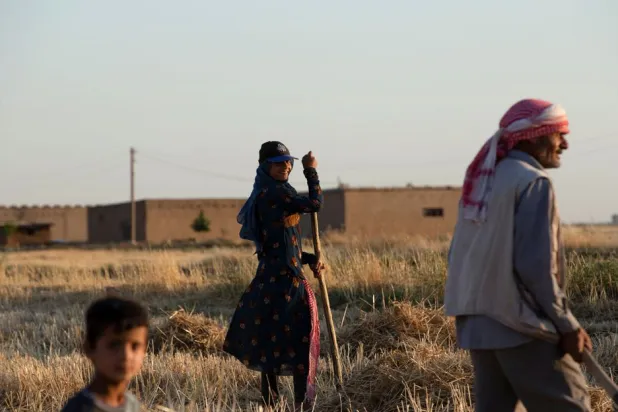 A family collects hay from a field in the Qamishli countryside, in northeastern Syria July 1, 2022. REUTERS/Orhan Qereman