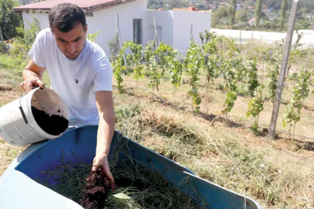 ألبان كاكالي يخلط تفل القهوة مع القش لإعداد السماد في مزرعته (أ.ف.ب)