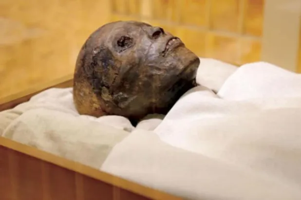 توت عنخ آمون کی ممی ان کے مقبرہ میں جو اقصر میں واقع ہے (الشرق الاوسط)