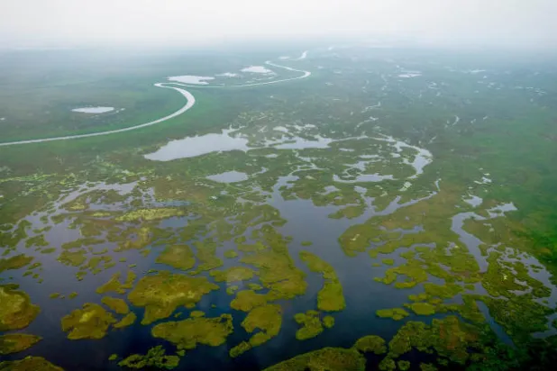 صورة جوية لجانب من مستنقع «السُد» شمال ولاية جونقلي جنوب السودان التُقطت خلال يونيو(حزيران) 2022 (من FLORENCE MIETTAUX نقلاً عن صحيفة «لوموند»)