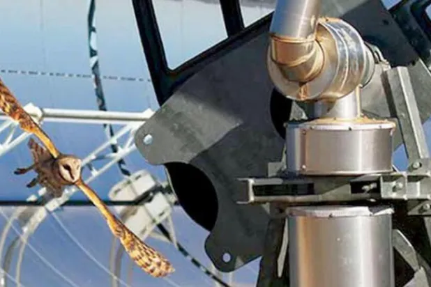 Suudi Arabistan merkezli ACWA Power şirketi, Özbekistan’daki yenilenebilir enerji projelerini genişletecek (Şarku’l Avsat)