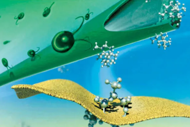 طريقة لاستخراج المواد الكيميائية المفيدة من الطحالب (دورية الكيمياء الخضراء)