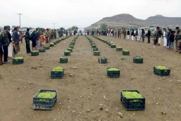 Farmers make compulsory donations of grape crops to the Houthis (social media)