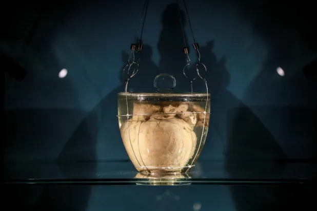 قلب الإمبراطور الأول للبرازيل دوم بيدرو الأول (إ.ب.أ)