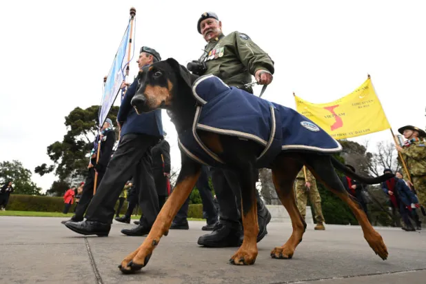 من القوات المسلحة الأسترالية (د.ب.أ)