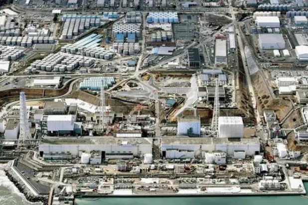 اليابان تفتح «تابوه» الطاقة النووية