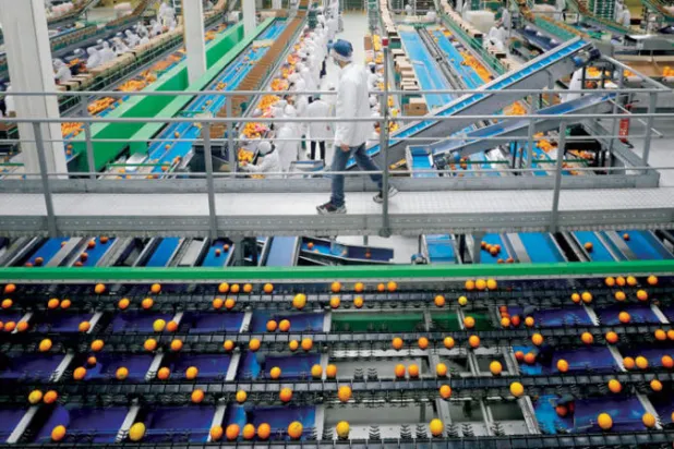 سجل الاقتصاد المصري نمواً بـ6.6 % في العام المالي 2021 - 2022 مقارنة بـ3.3 % في العام السابق (رويترز)