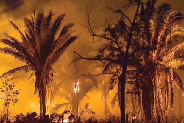 رصدت صور الأقمار الصناعية 3358 حريقاً في أغسطس الحالي (ا.ف.ب)