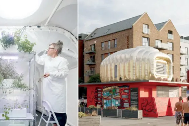 صُمّم «البيت المريخي» ليتحمل المناخ القاسي للكوكب الأحمر  -  النباتات كالكائن الحي تحتاج إلى العناية