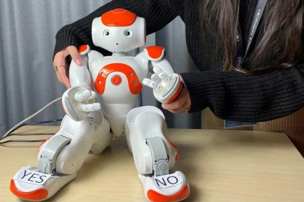 الباحثون يقولون إن الروبوتات قد تكون إضافة مفيدة لأساليب تقييم الصحة العقلية (سكاي نيوز)