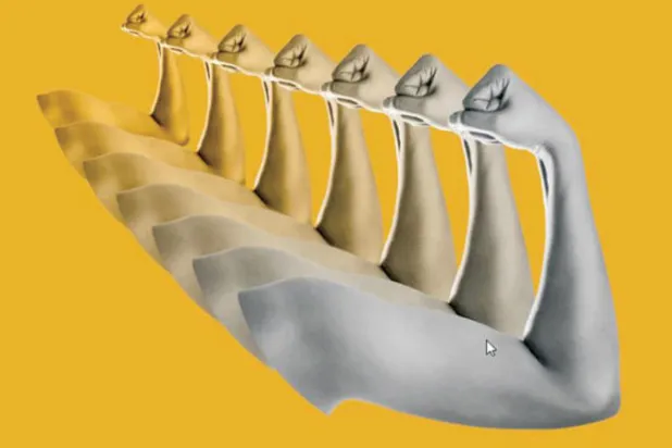 دراسات جديدة لفهم أساسيات «ذاكرة العضلات»