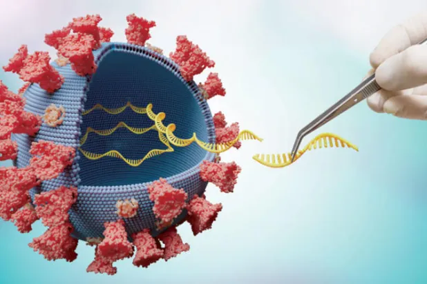 قرصنة آلية النَّسخ الفيروسية... استراتيجية جديدة لمواجهة «كورونا»