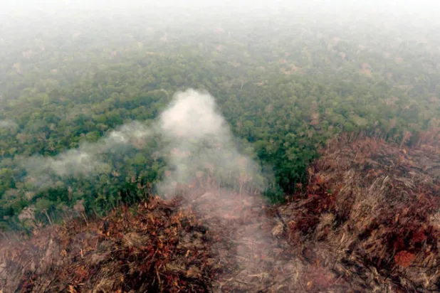 لقطة جوية للحرائق في غابات الأمازون في شمال البرازيل (أ.ف.ب)