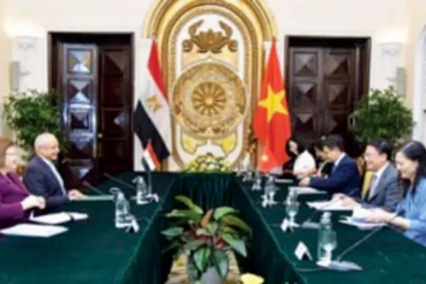 مشاورات لتعزيز التعاون بين مصر وفيتنام (وزارة الخارجية المصرية)
