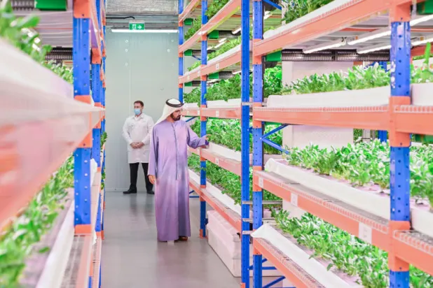 الشيخ محمد بن راشد يتفقد أحد منتجات مجمع «بستانك» للزراعة الرأسية في دبي (وام)