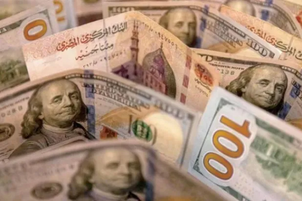 العملة المصرية تواجه انخفاضا متتابعاً أمام الدولار (أ.ف.ب)