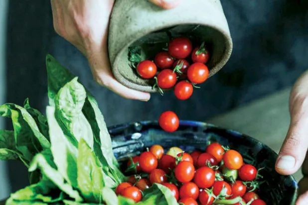 نجحت الشركة بشكل مبدئي في بيع طماطم في أسواقٍ محليّة،  بعد زراعتها في الدفيئات المبردة بالمياه المالحة