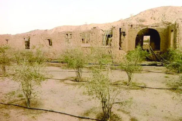 The Abu Hijara Palace in the Taif Governorate (Asharq Al-Awsat)