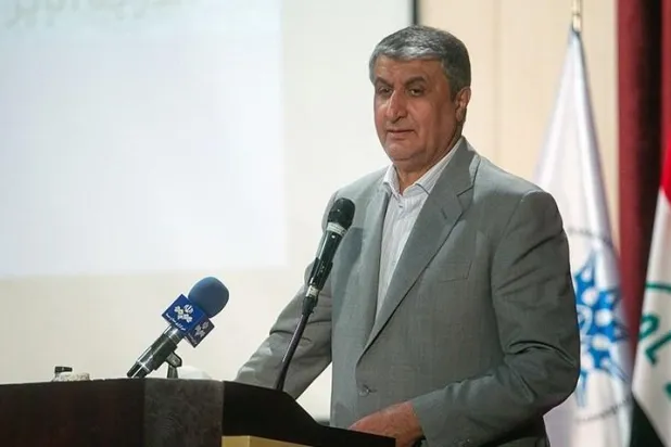 رئيس منظمة الطاقة الذرية الإيرانية محمد إسلامي (وسائل إعلام إيرانية)