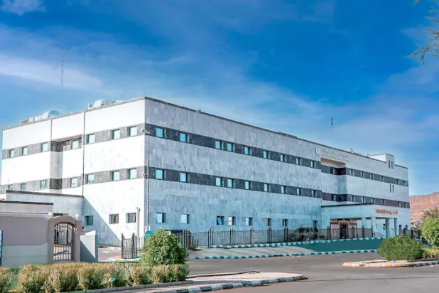 تتضمن المبادرات ذات الأولوية لتطوير الرعاية الصحية العامة في العلا (الشرق الأوسط)