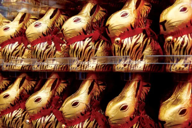 أرنب لينت الذهبي (رويترز)