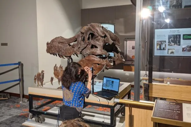 جينغماي أوكونور تجمع لقطات عالية الدقة للثقوب في جمجمة الديناصور من أجل تحليلها (المتحف الميداني للتاريخ الطبيعي بشيكاغو)