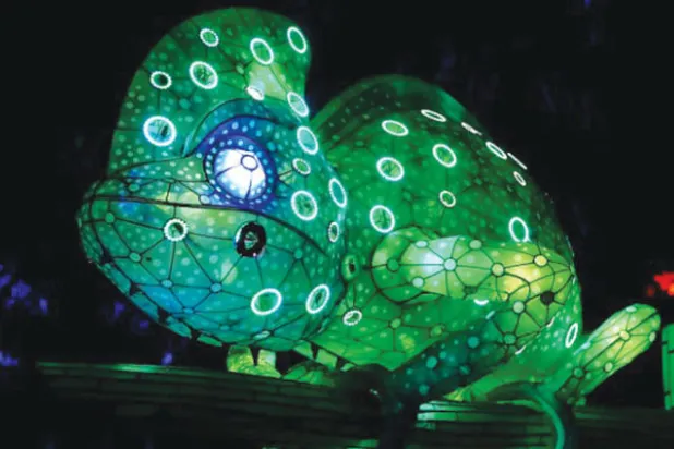 «روبوتات الحرباء»... تتكيف مع محيطها