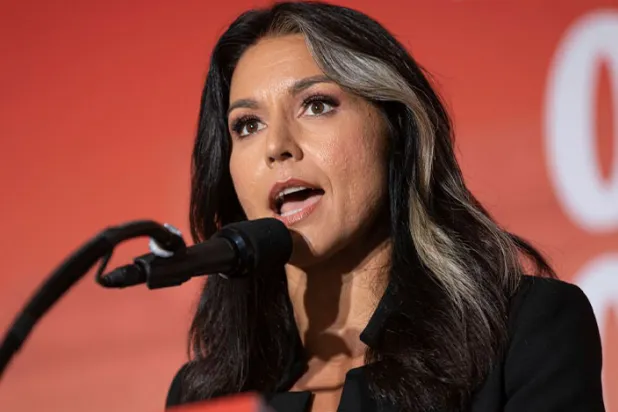 Tulsi Gabbard (AP)