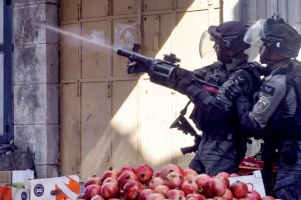 اسرائیلی فورسز کو کل خلیل میں فلسطینی مظاہرین پر آنسو گیس فائر کرتے ہوئے دیکھا جا سکتا ہے (اے ایف پی)