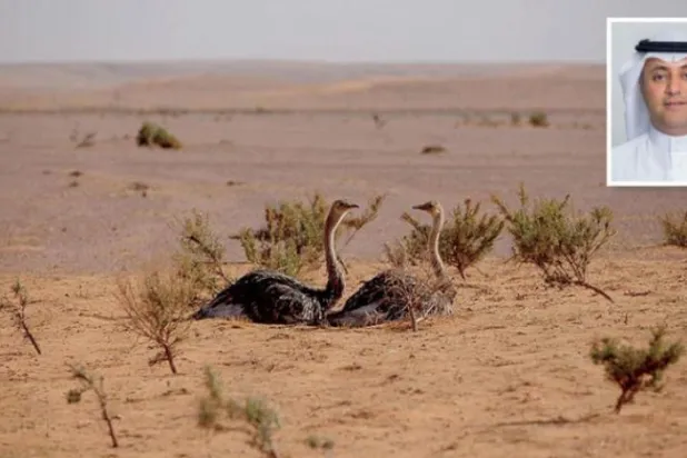 Özel sektörü yaban hayatın geliştirilmesine dahil etmek için yapılan İmam Turki bin Abdullah Koruma Alanı ve kurumun CEO’su Mühendis Muhammed eş-Şaalan. (Şarku’l Avsat)