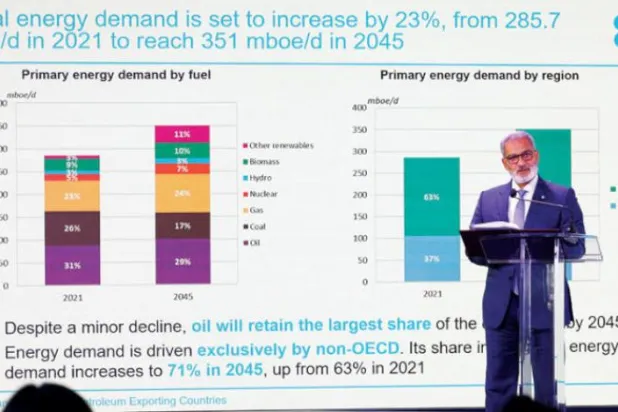 "اوپیک" کے سیکرٹری جنرل ہیثم الغیص گزشتہ روز کیپ ٹاؤن میں "افریقی توانائی ہفتہ" کانفرنس کے دوران (رائٹرز)