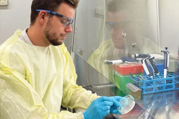 أنجيلو فراي (الشرق الأوسط)