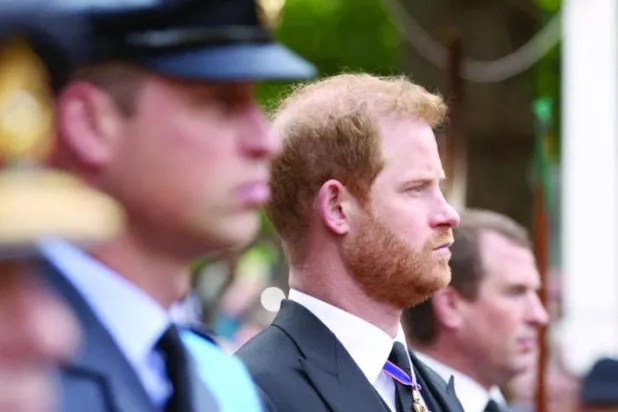 الأميران ويليام وهاري في جنازة الملكة إليزابيث (رويترز)