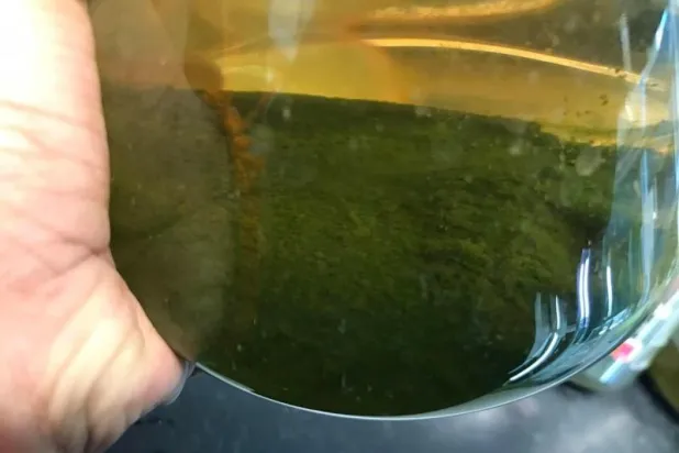 تغذية الطحالب الدقيقة على متبقيات القهوة المطحونة (جامعة أستون)