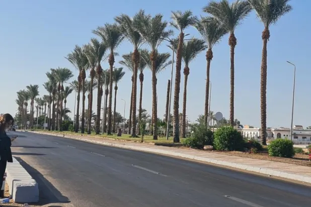  ازدادت مدينة شرم الشيخ المصرية اخضراراً بالتزامن مع استقبال مؤتمر «كوب 27» (الشرق الأوسط)