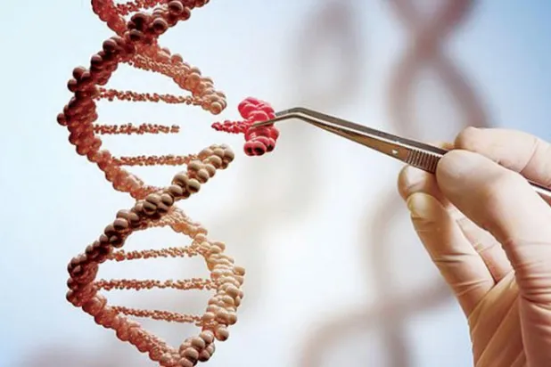 عقار من الهندسة الوراثية لعلاج فشل القلب