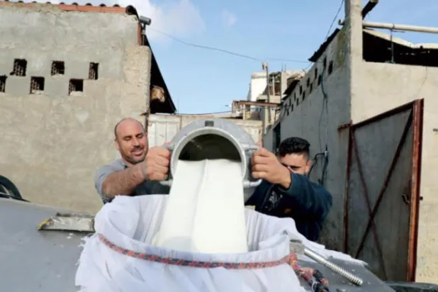 Bir tanka süt döken Tunuslu iki çiftçi (EPA)