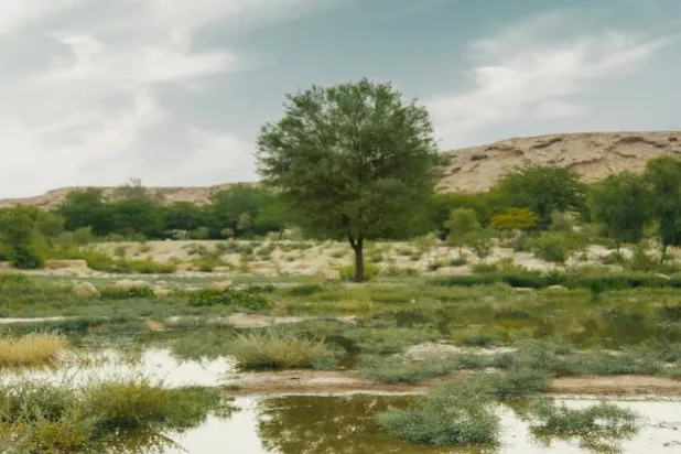 أكدت «السعودية الخضراء» الحفاظ على التنوع البيئي (الموقع الرسمي للمبادرة)