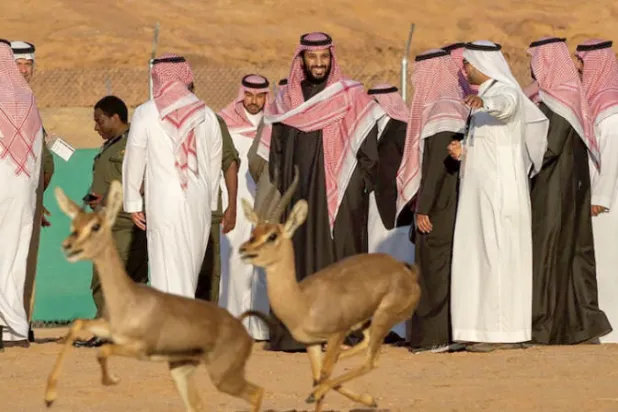 الأمير محمد بن سلمان خلال زيارة سابقة لإحدى المحميات الطبيعية في السعودية (أ.ف.ب)