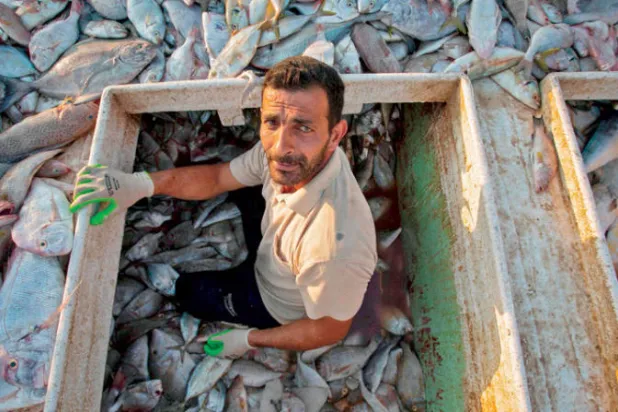 صائد أسماك في سوق السمك في ميناء الفاو بجنوب العراق (أ.ف.ب)