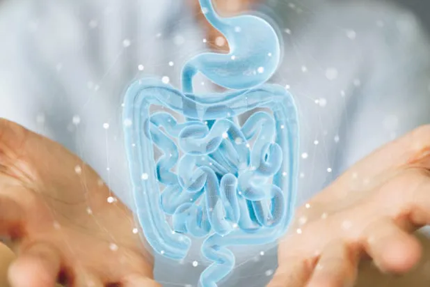 كيف تؤثر حياة الإنسان الاجتماعية على أمعائه؟